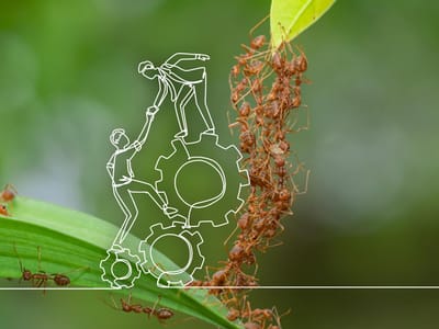 Modul 5: Praxistag